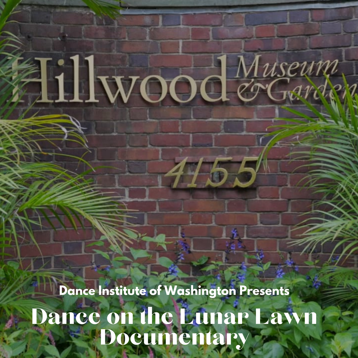 DIW at Hillwood 2023 Documentary