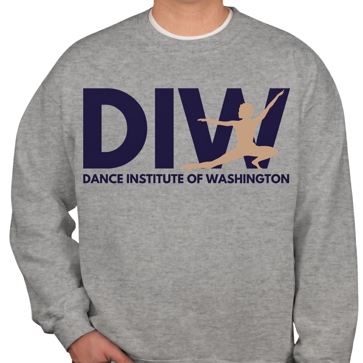 DIW Grey Logo Sweatshirt - Adult