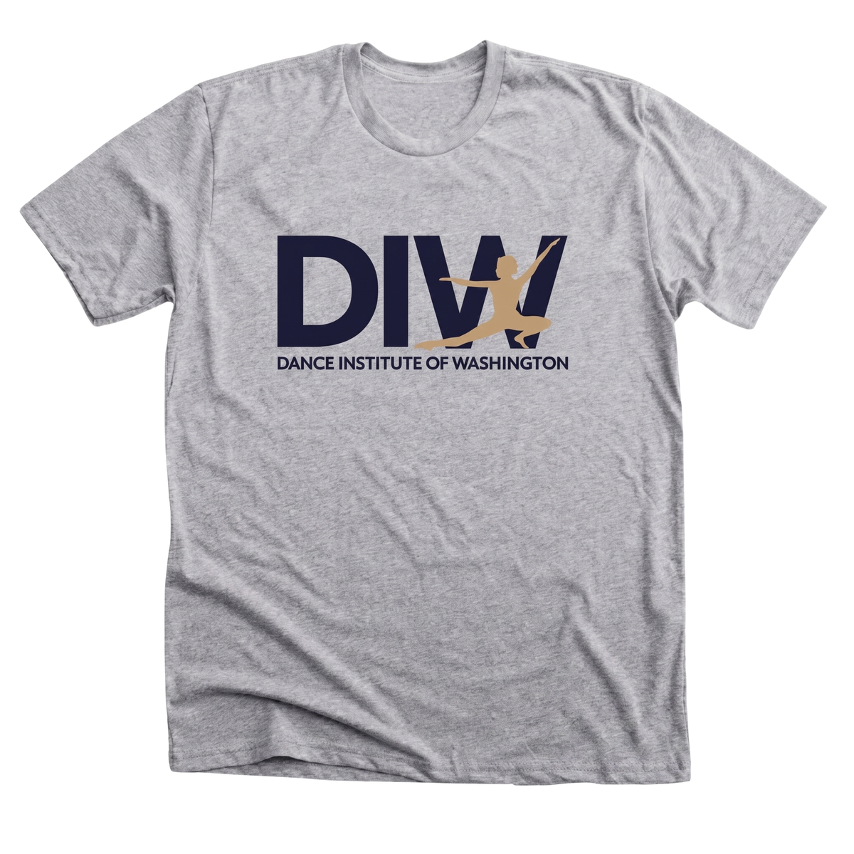DIW Grey Shirt (Adult)