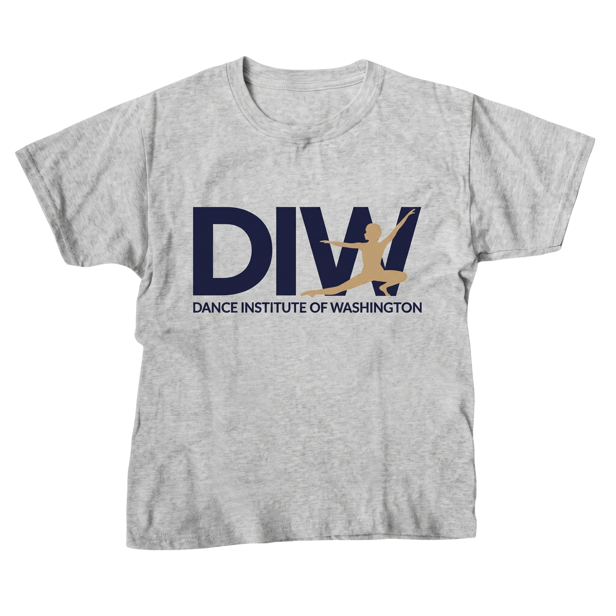 DIW Grey Logo T-Shirt - Youth