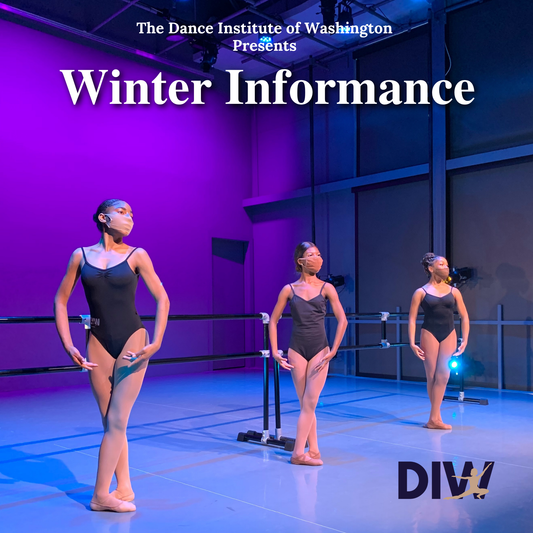 DIW Winter Informance